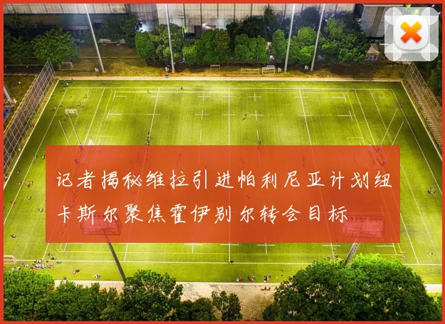 记者揭秘维拉引进帕利尼亚计划纽卡斯尔聚焦霍伊别尔转会目标